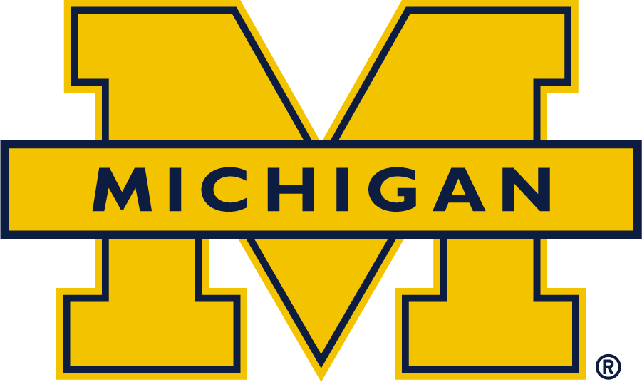 Michigan Wolverines 2016-Pres Secondary Logo iron on transfers for clothing